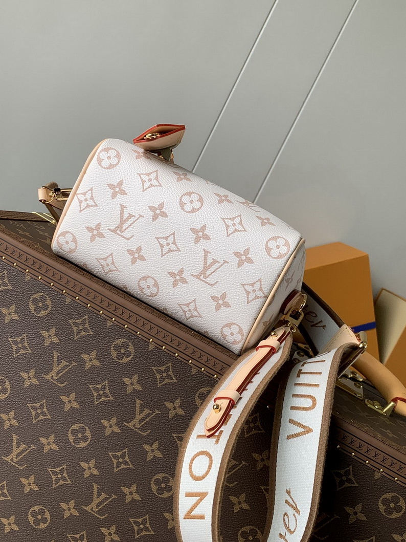 LV Bag-NFC(AAA)-224