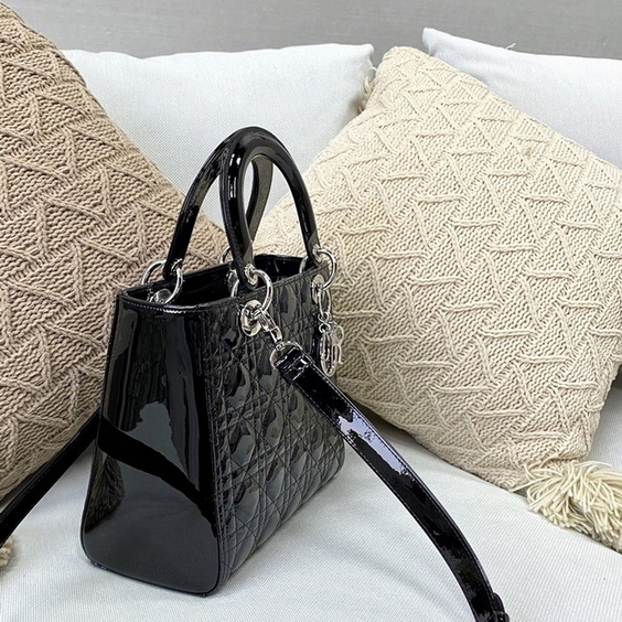 Dior Handbags AAA(Women)-164