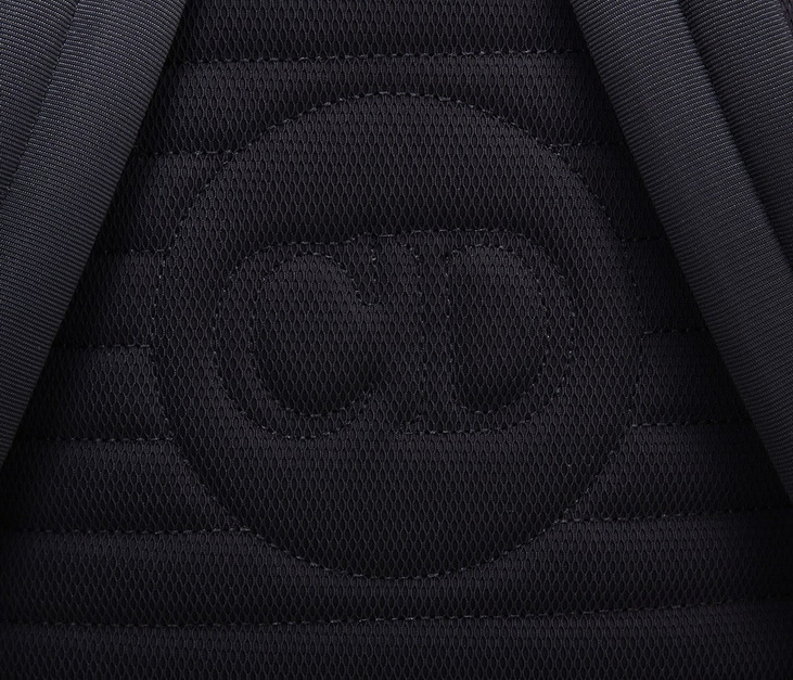 Dior Backpack(AAA)-020