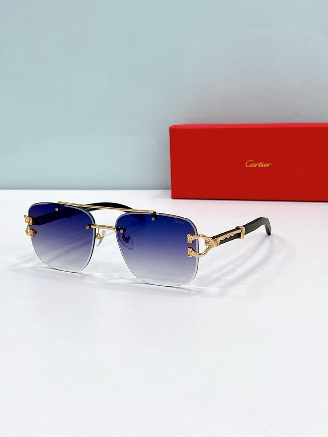 Cartier Sunglasses(AAAA)-1675