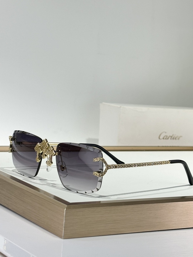 Cartier Sunglasses(AAAA)-1579