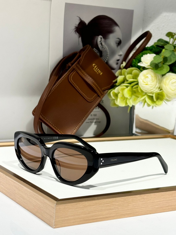 Celine Sunglasses(AAAA)-692
