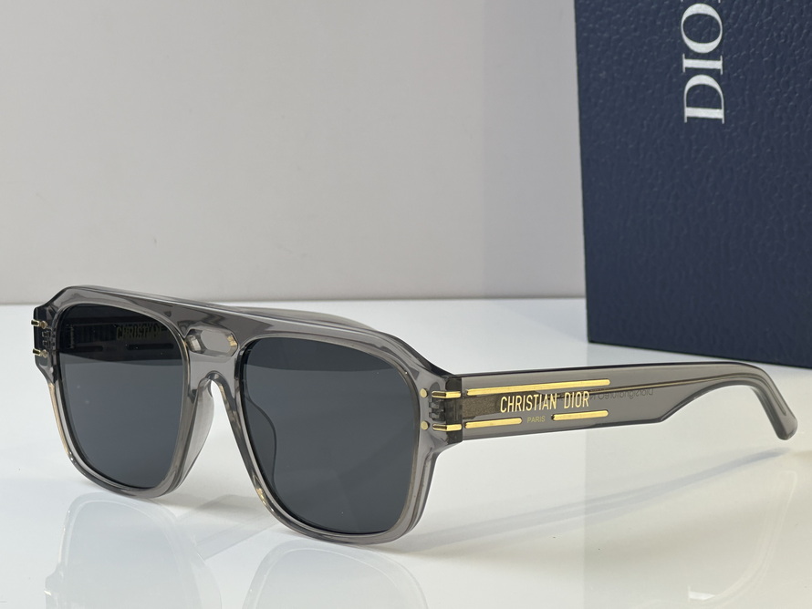  Dior Sunglasses(AAAA)-973