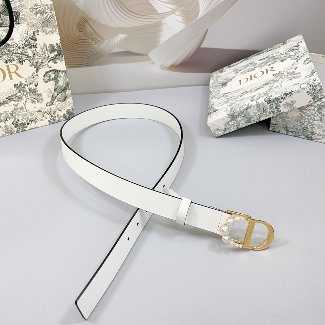 Dior Belts(AAAAA)-445