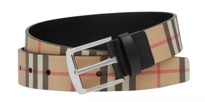 Burberry Belts(AAAAA)-134