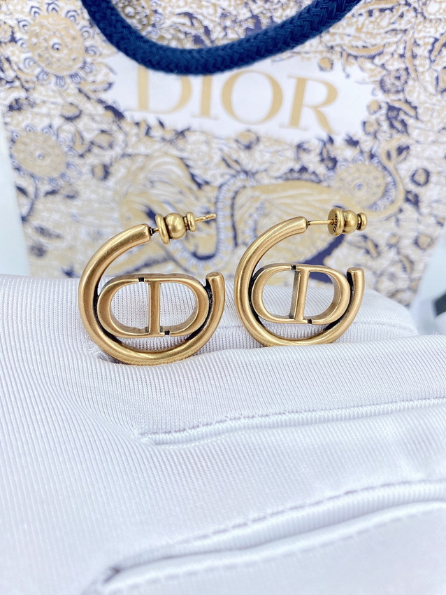 Dior Earrings-343