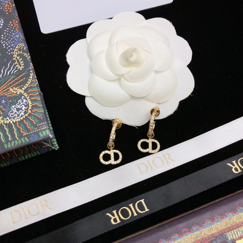 Dior Earrings-085