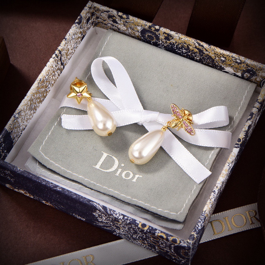 Dior Earrings-341