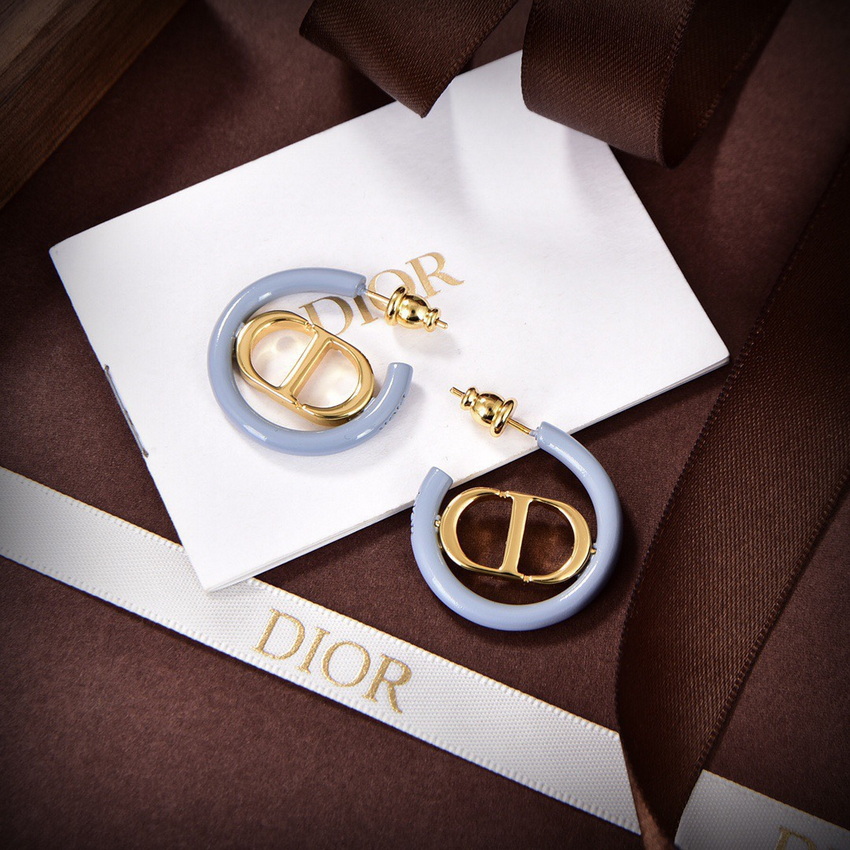 Dior Earrings-339