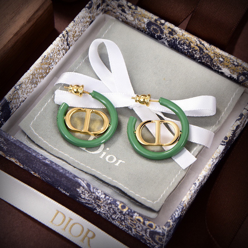 Dior Earrings-338