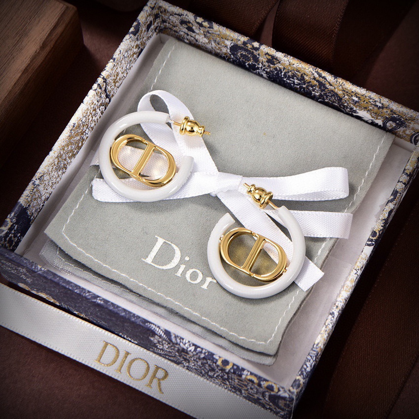 Dior Earrings-337