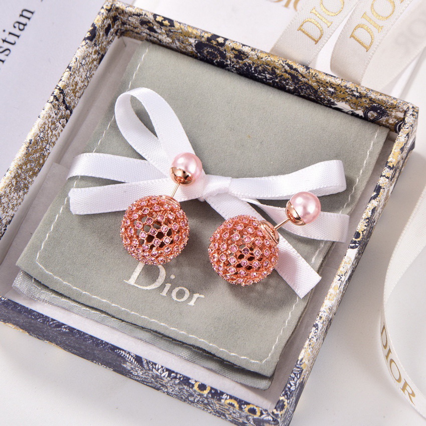 Dior Earrings-336