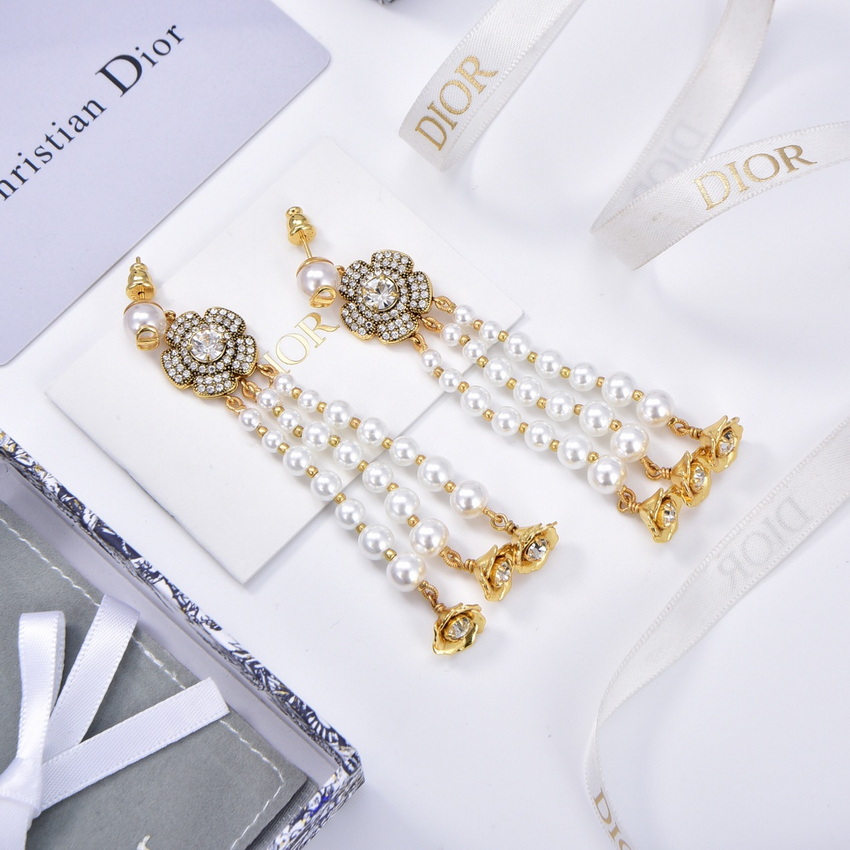 Dior Earrings-379