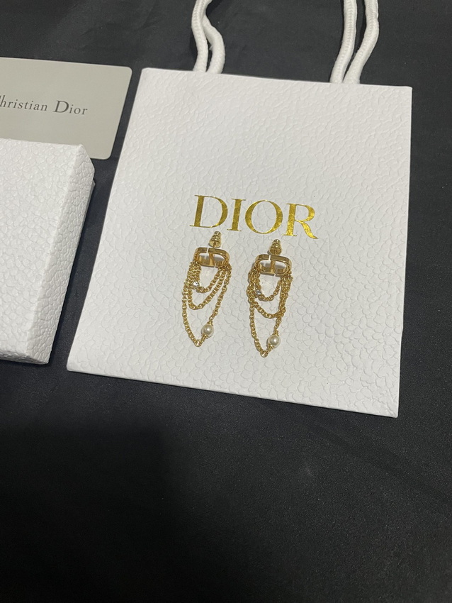 Dior Earrings-325