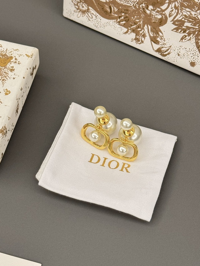 Dior Earrings-357