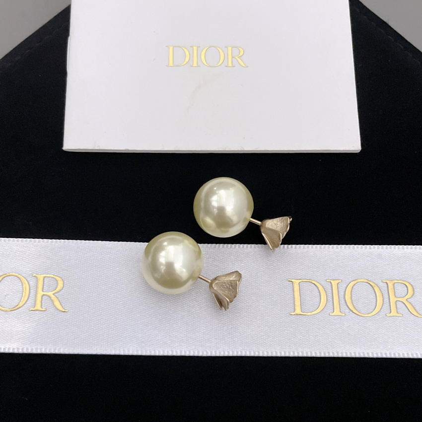 Dior Earrings-320