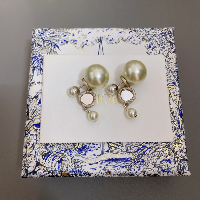 Dior Earrings-318