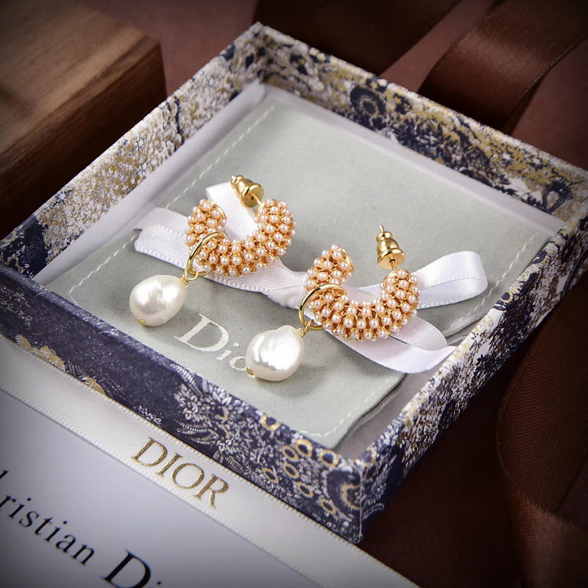 Dior Earrings-313