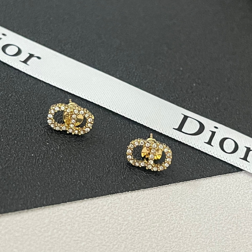 Dior Earrings-078