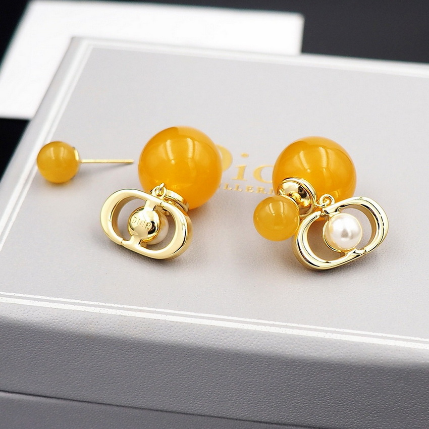 Dior Earrings-072