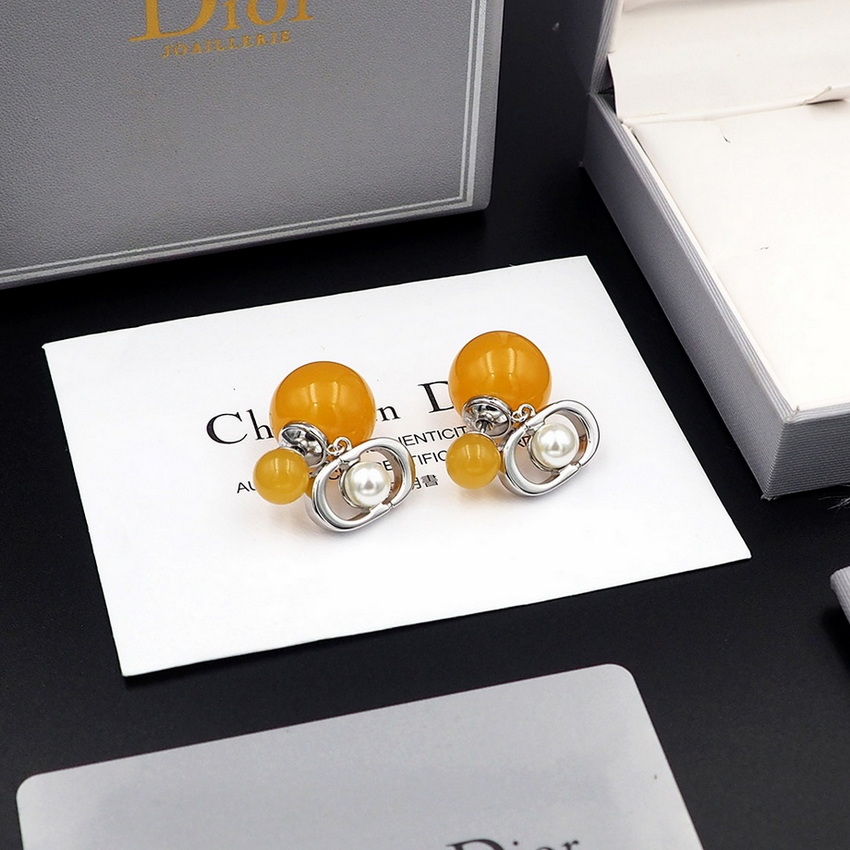 Dior Earrings-071