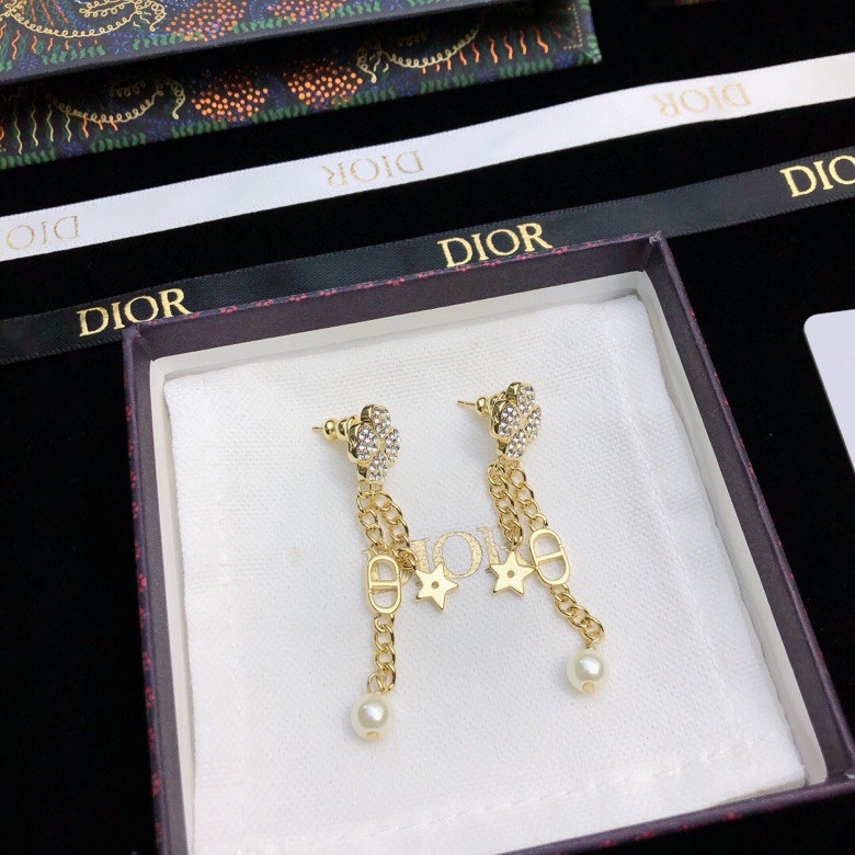 Dior Earrings-310