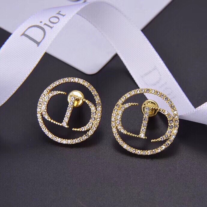 Dior Earrings-301