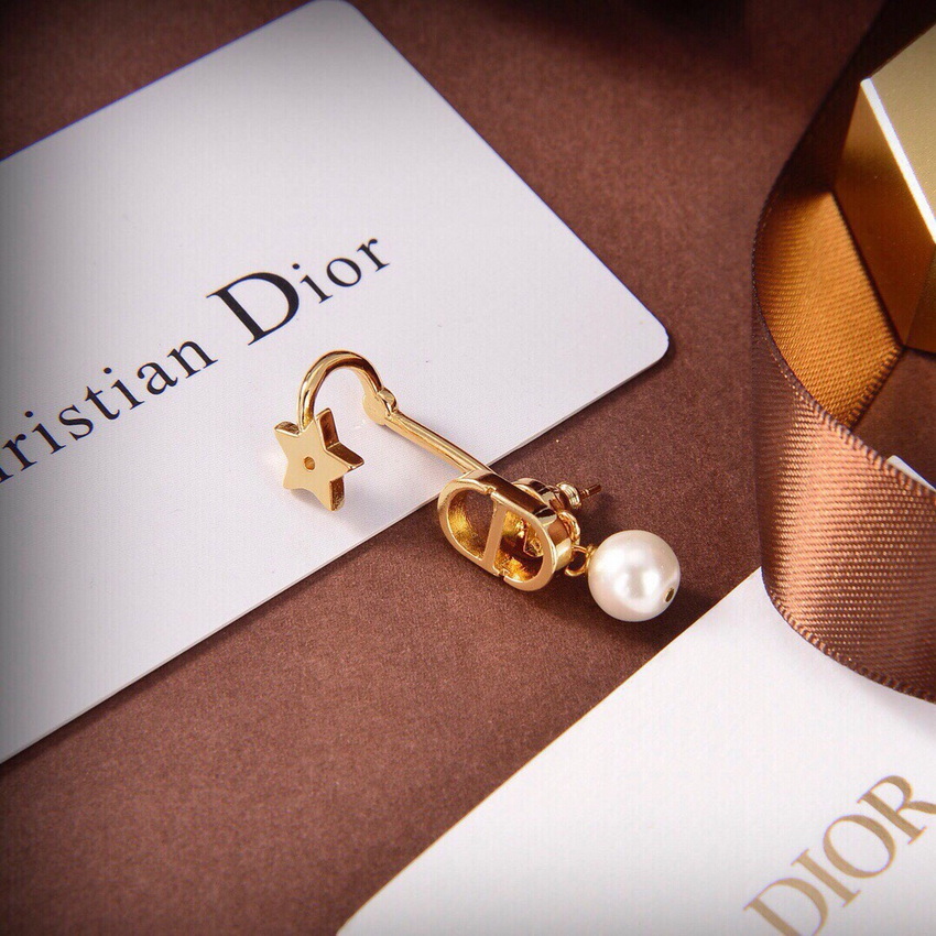 Dior Earrings-056