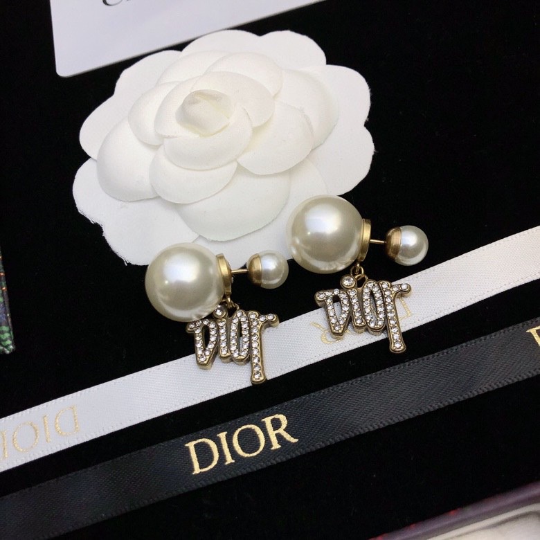 Dior Earrings-298