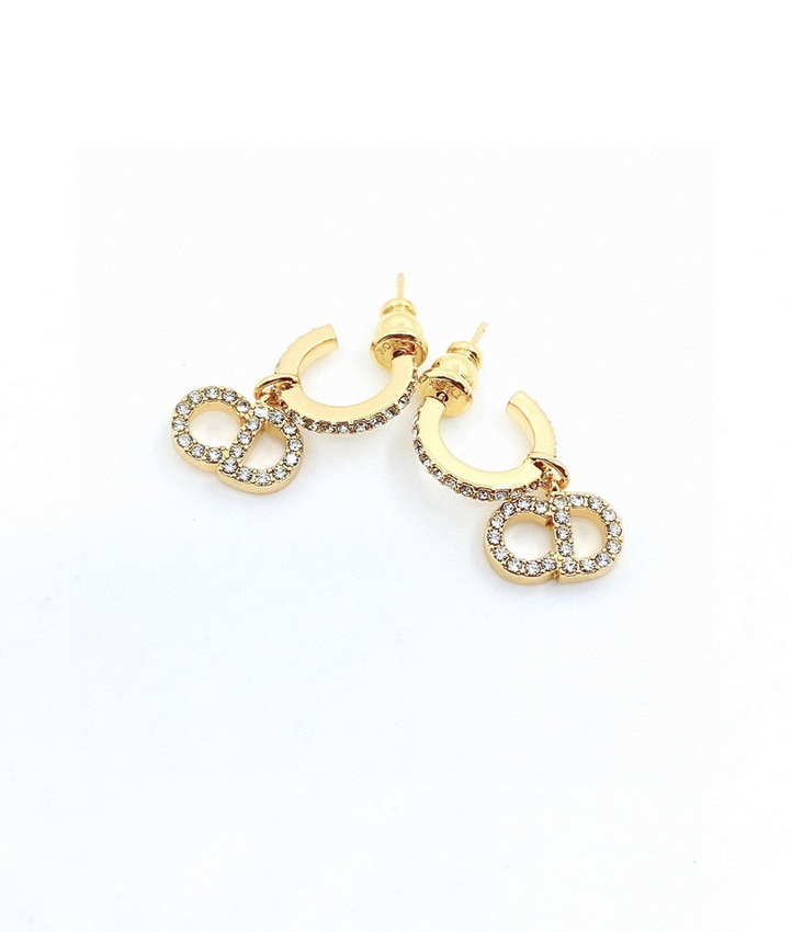 Dior Earrings-295