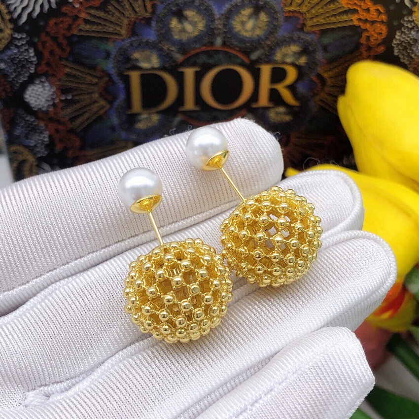 Dior Earrings-049