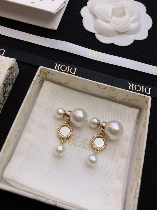 Dior Earrings-293