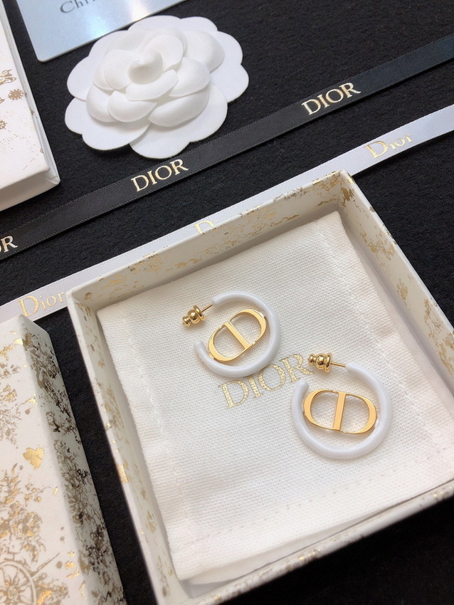 Dior Earrings-291