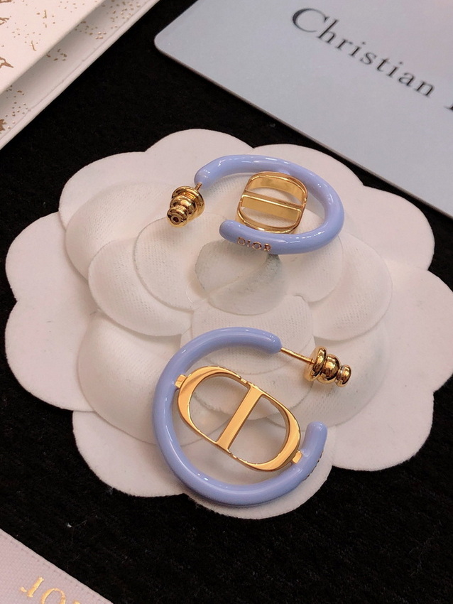 Dior Earrings-290