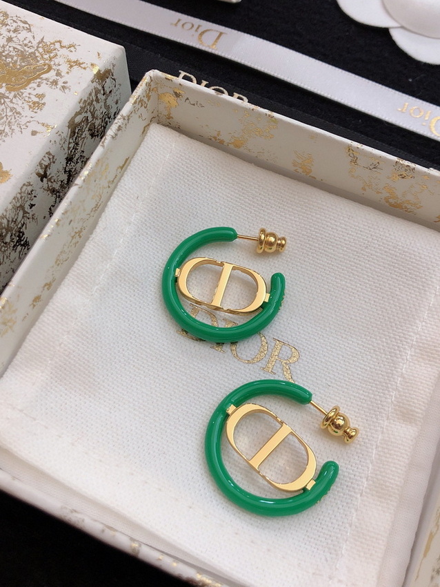 Dior Earrings-289