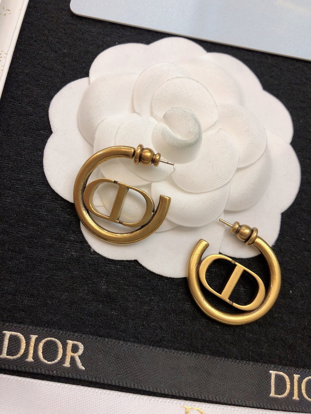 Dior Earrings-046