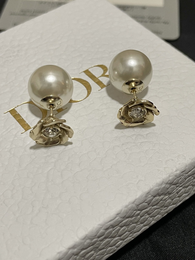 Dior Earrings-283