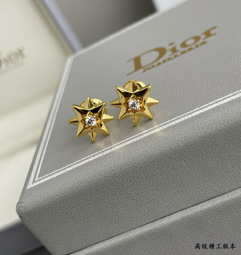 Dior Earrings-378