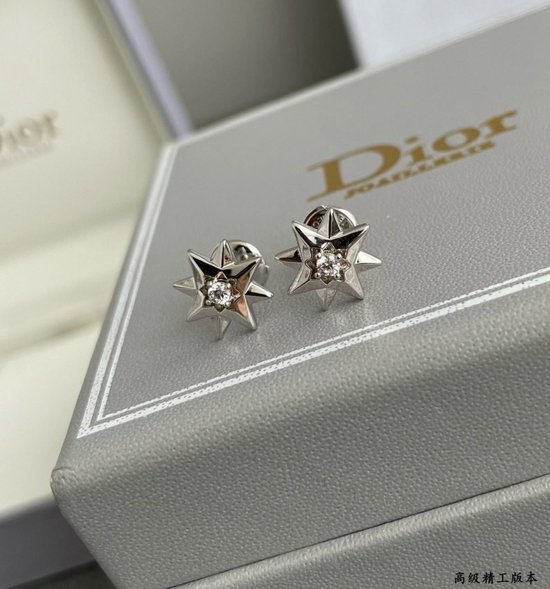 Dior Earrings-377
