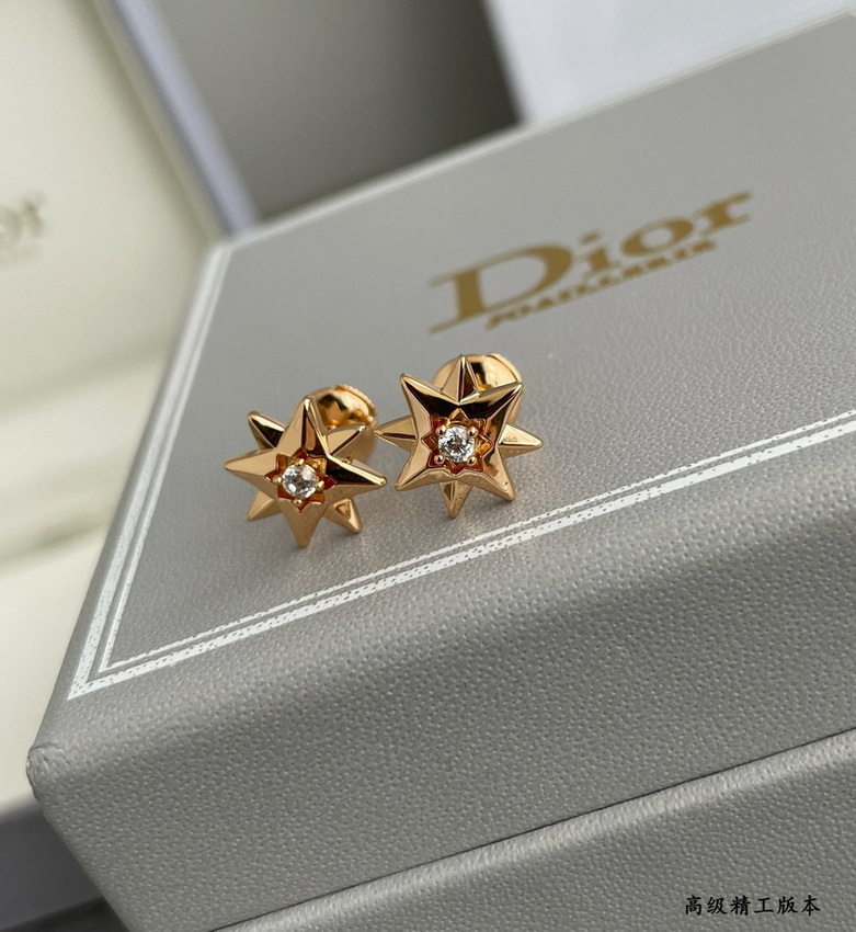 Dior Earrings-375