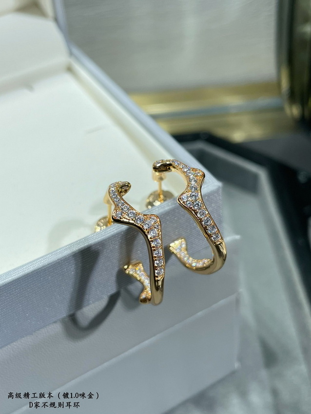Dior Earrings-376