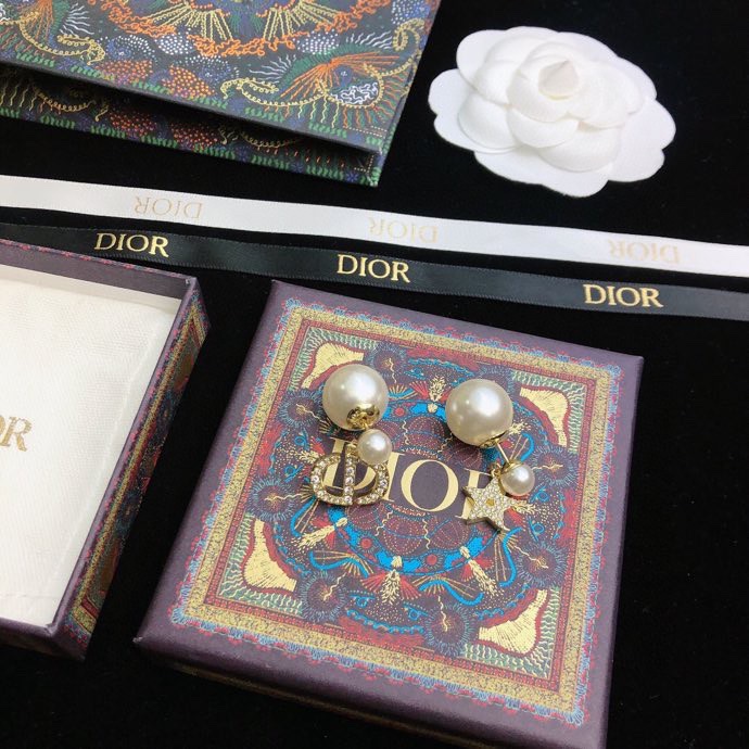 Dior Earrings-039