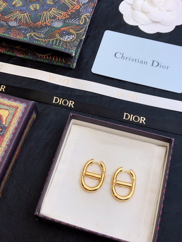 Dior Earrings-037