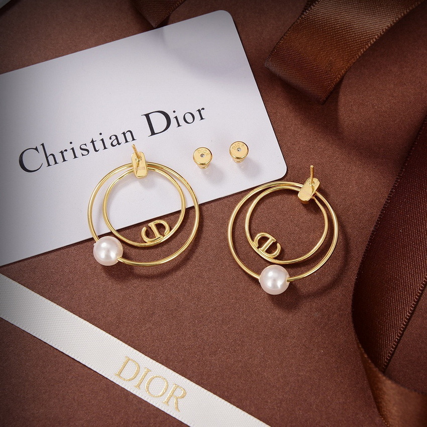 Dior Earrings-279