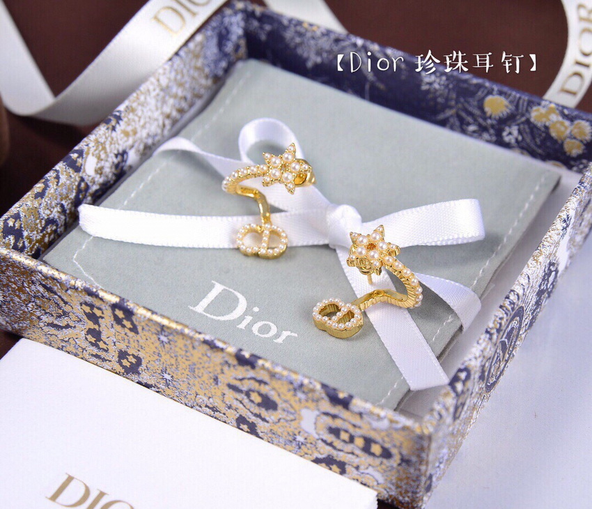 Dior Earrings-278