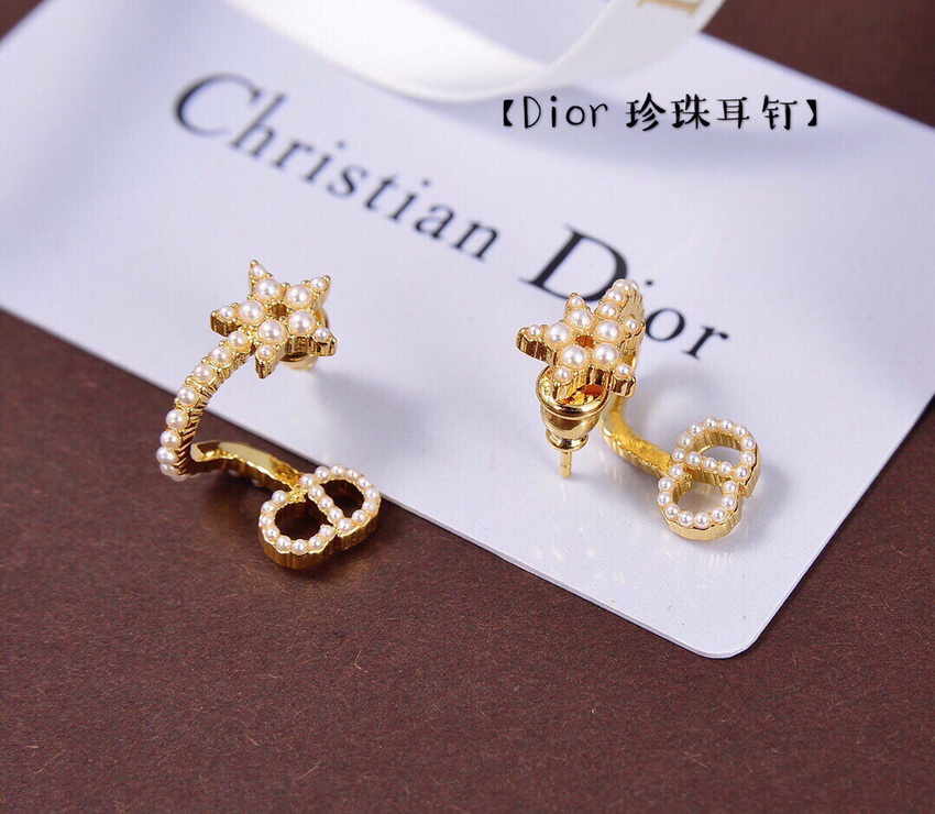 Dior Earrings-036