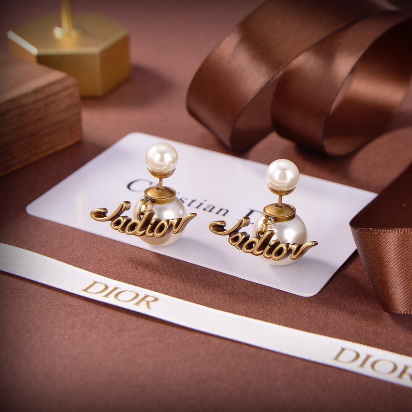 Dior Earrings-274