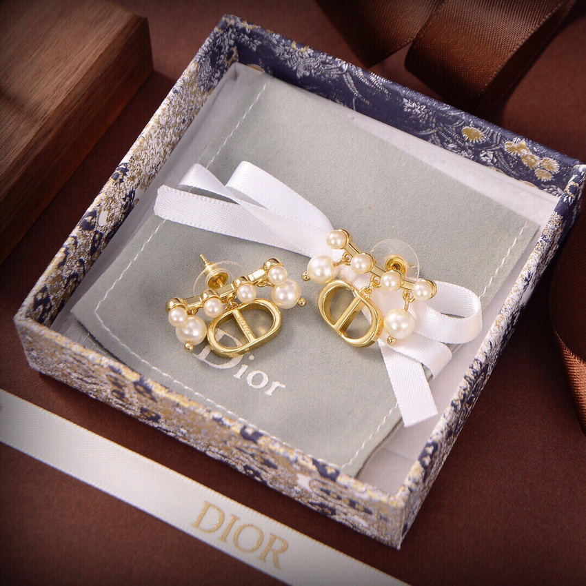 Dior Earrings-268