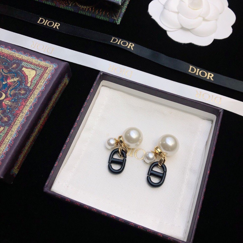 Dior Earrings-266