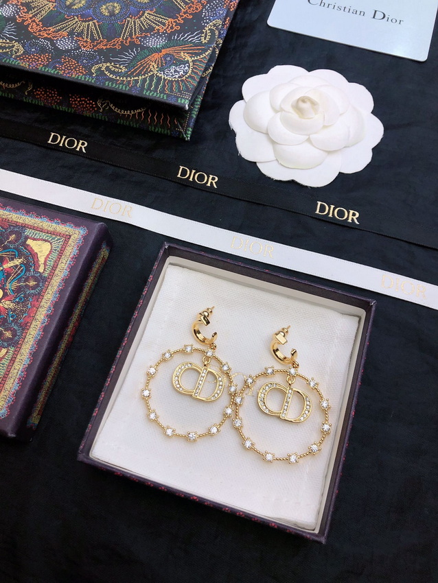 Dior Earrings-265
